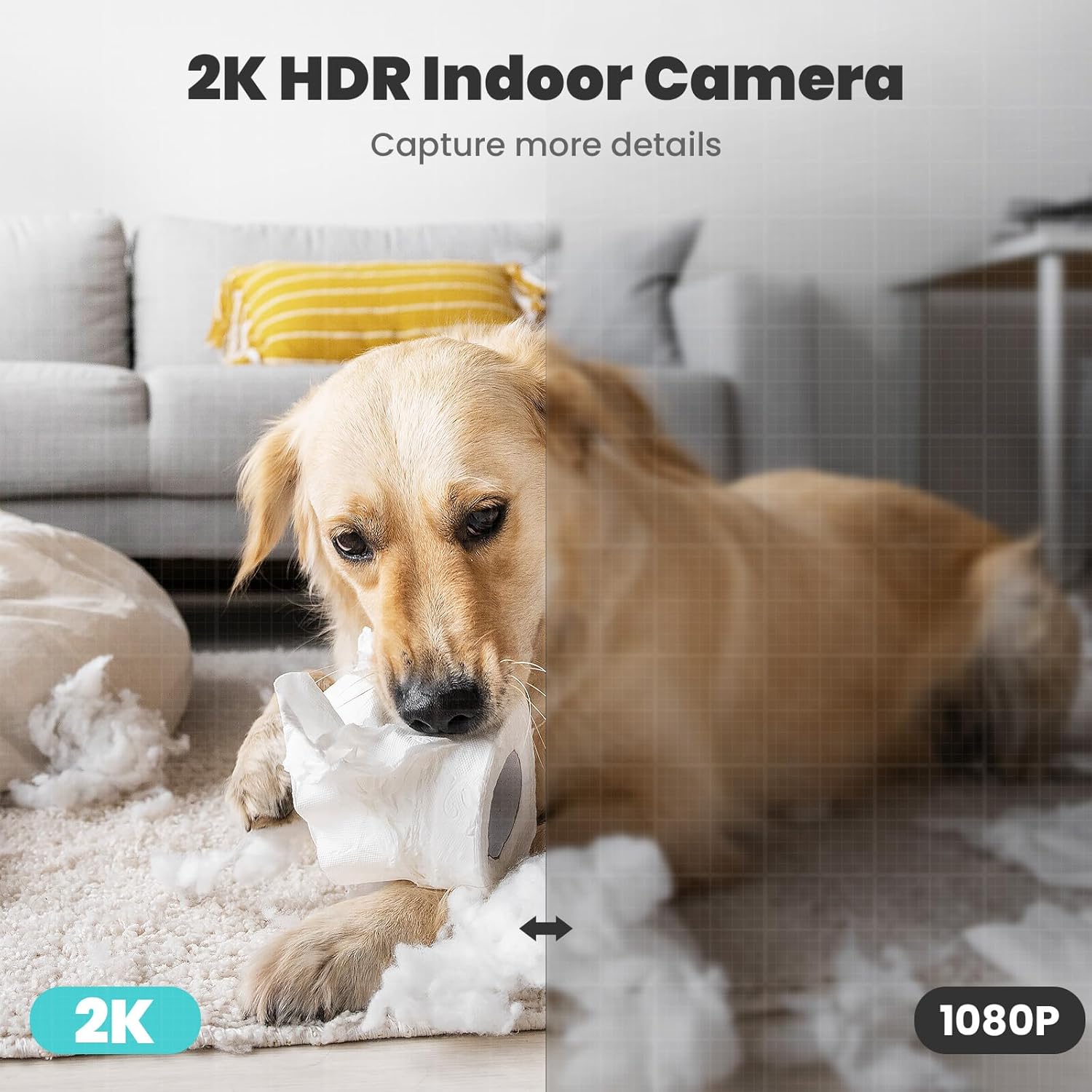 2K Indoor Security Camera, 367° Cameras for Home Security Indoor with Smart Vision, Total Precision – Your 360° Indoor Guardian.

Elevate your home security and monitoring experience with the 2K Indoor Security Camera. Designed for comfonCamera2K Indoor Security Camera 367° Cameras