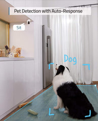 Indoor Cam E220 Camera pet detection feature for home security system.