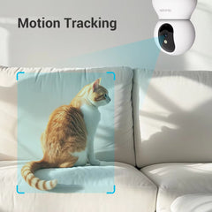 Pet Camera 2K with motion tracking feature monitoring a cat on a couch indoors.